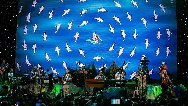 Why was a Florida sea creature named for singer Jimmy Buffett? Researchers have a reason